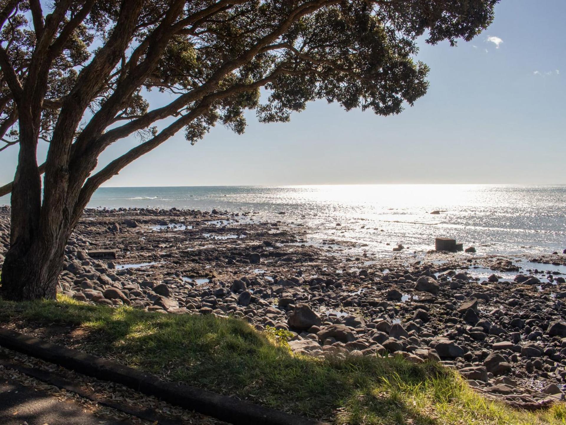 The Coastal Cottage Central City Location New Plymouth Extérieur photo